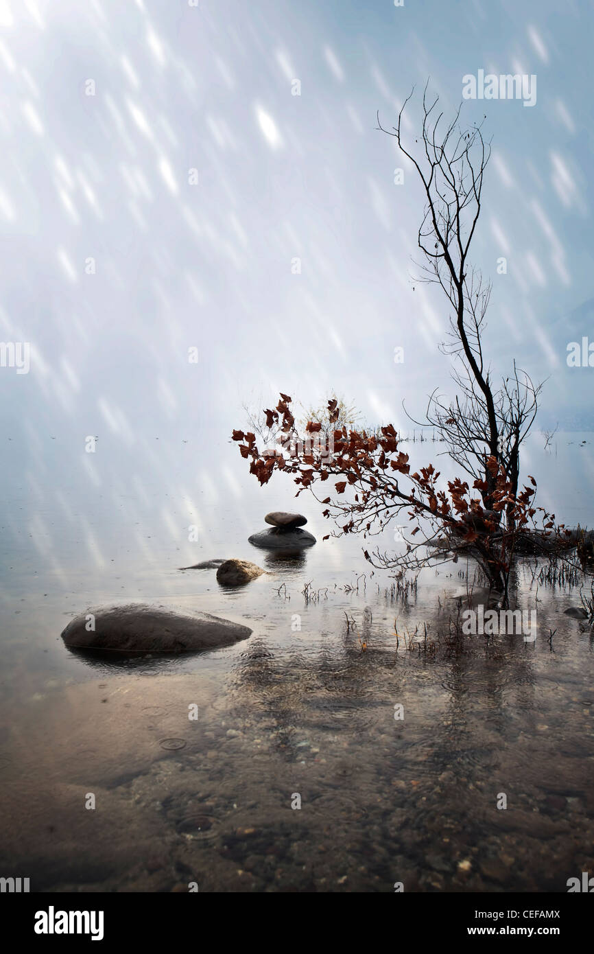 Le Zen des pierres dans l'eau pendant la pluie Banque D'Images