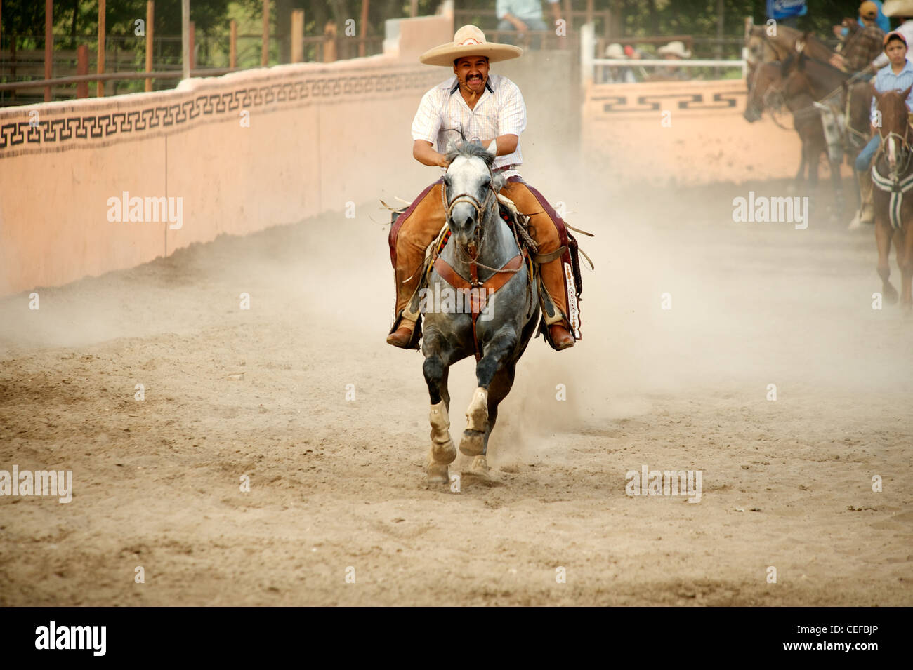 Charros mexicains cavalier galopant dans l'anneau, Texas, US Banque D'Images