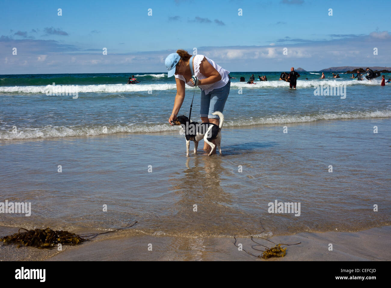 Dame balade dog on beach, le chien n'aime pas l'eau, marcher sur le plomb, chien Jack Russell couleur tri.walking dog sur le plomb, Banque D'Images