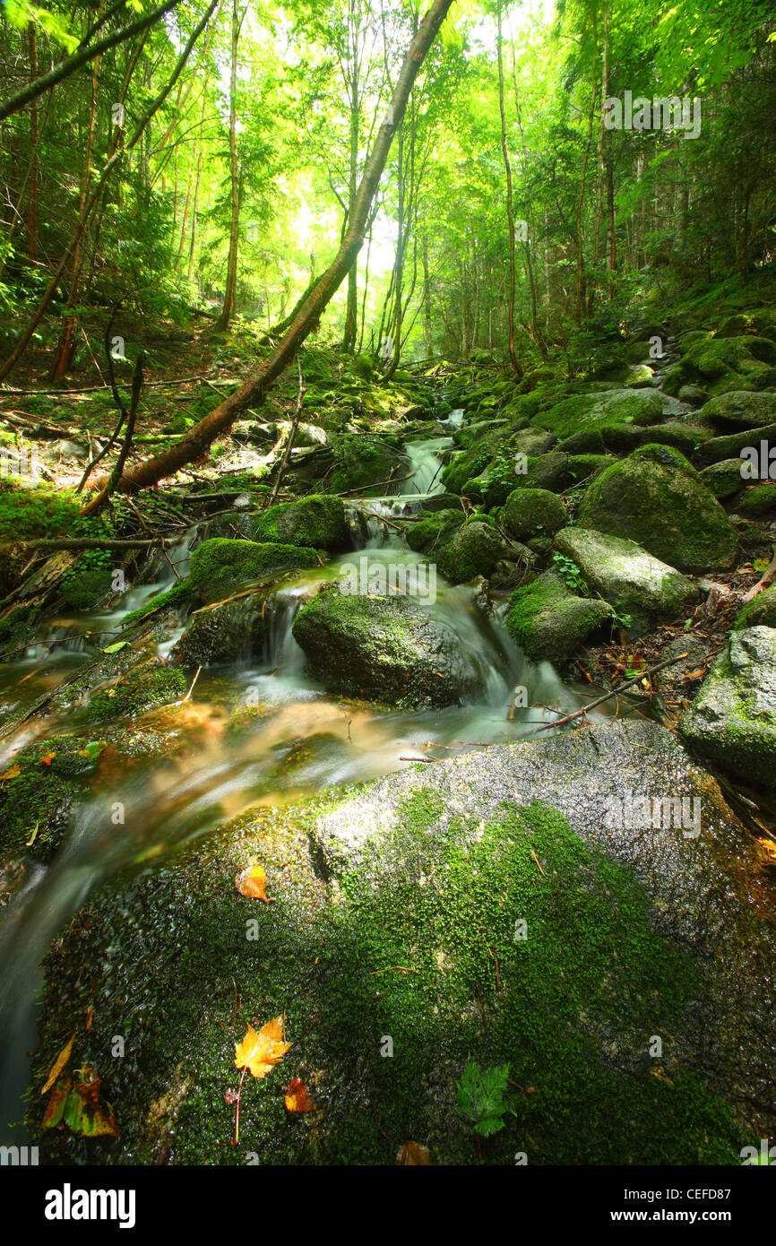 Cours supérieur de la rivière Chikumagawa. Nagano. Le Japon Banque D'Images