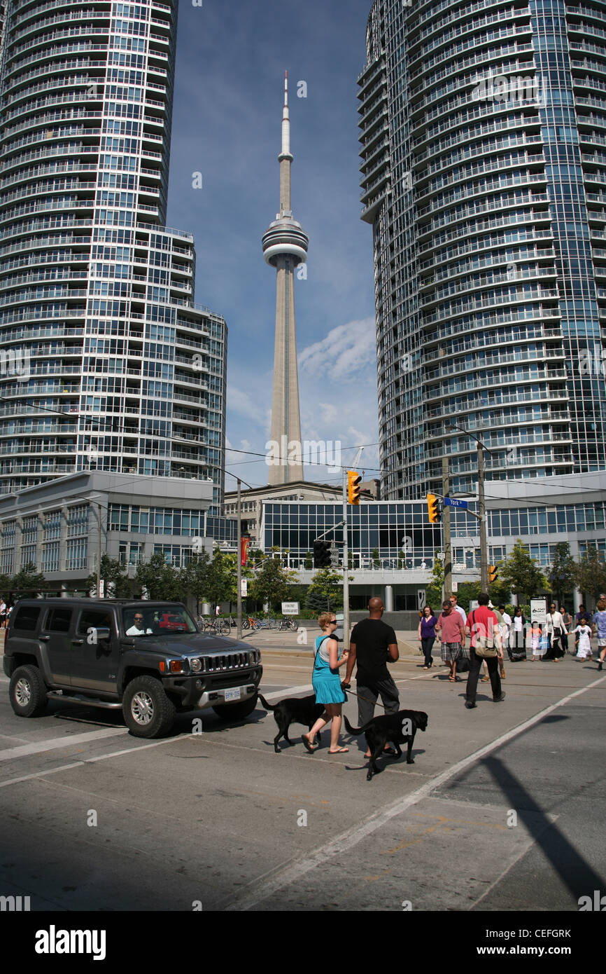 Tour CN Toronto, encadré par de grands bâtiments Banque D'Images