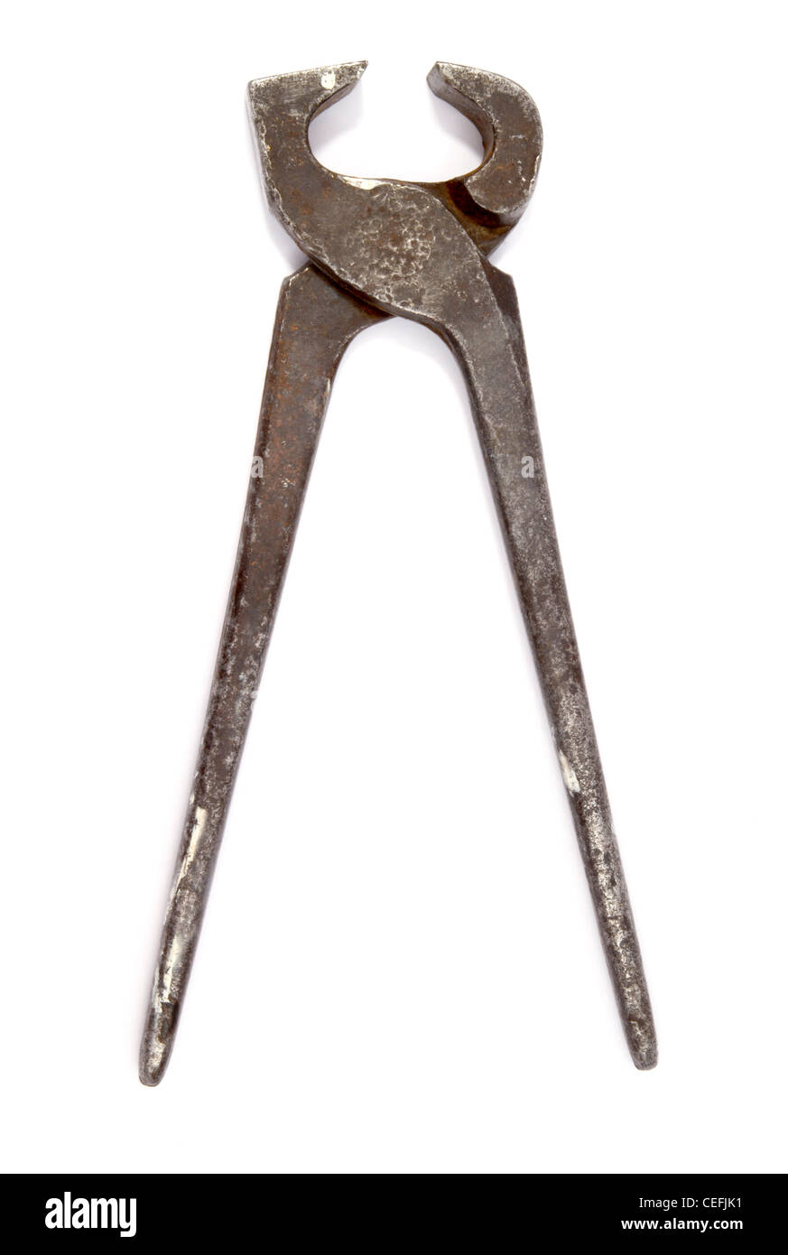 Ancienne pince isolé sur fond blanc Banque D'Images