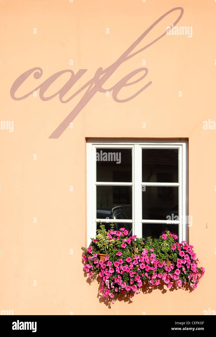 Mur de cafe avec fenêtre et fleurs Banque D'Images