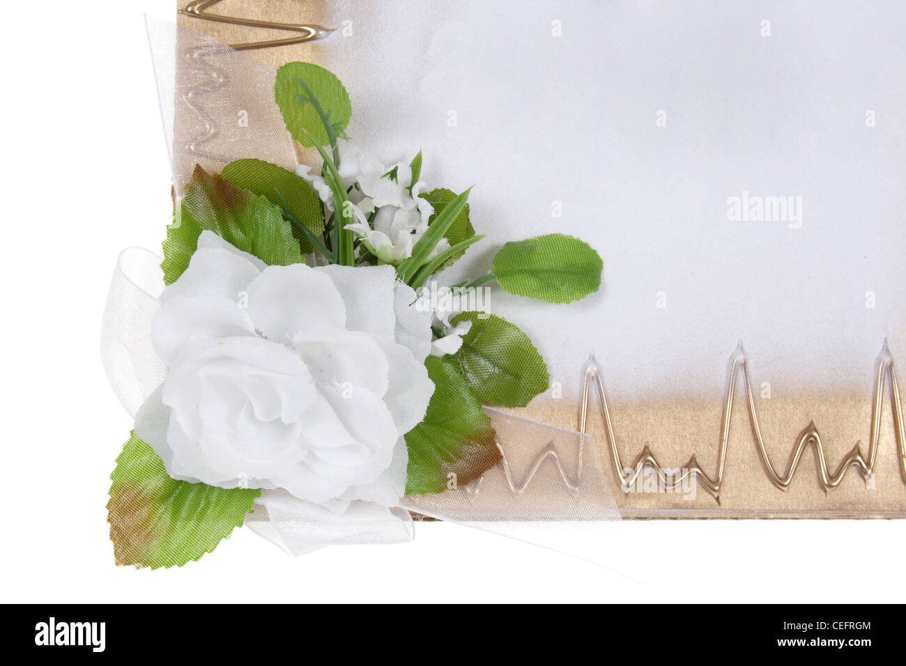 Blanc de carte décorative, White Rose, fleur Banque D'Images