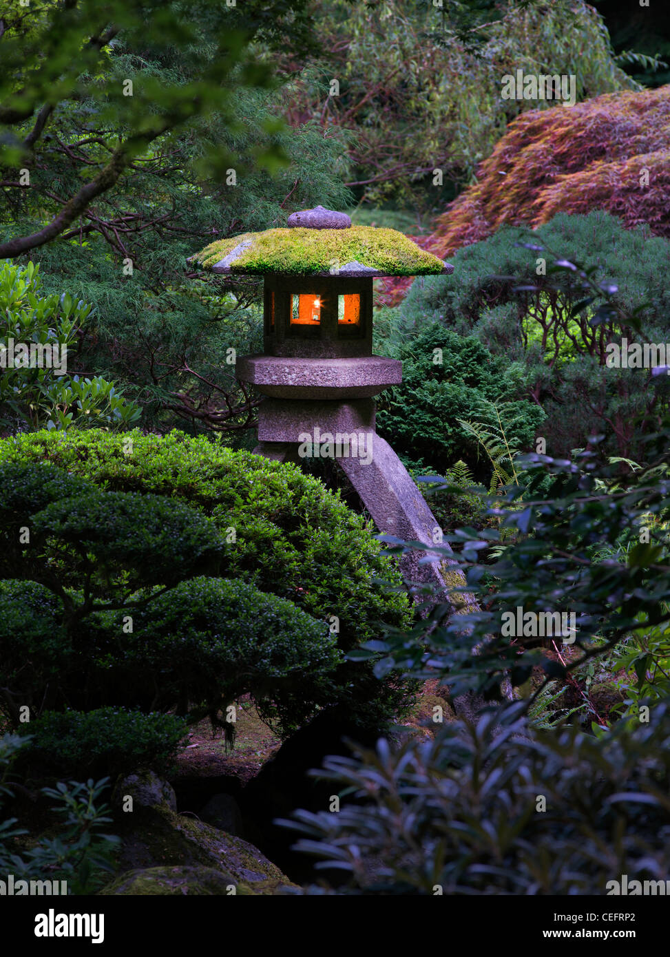 Lanternes allumées à Portland les jardins japonais. Oregon Banque D'Images
