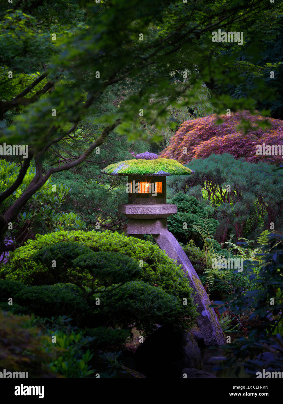 Lanternes allumées à Portland les jardins japonais. Oregon Banque D'Images