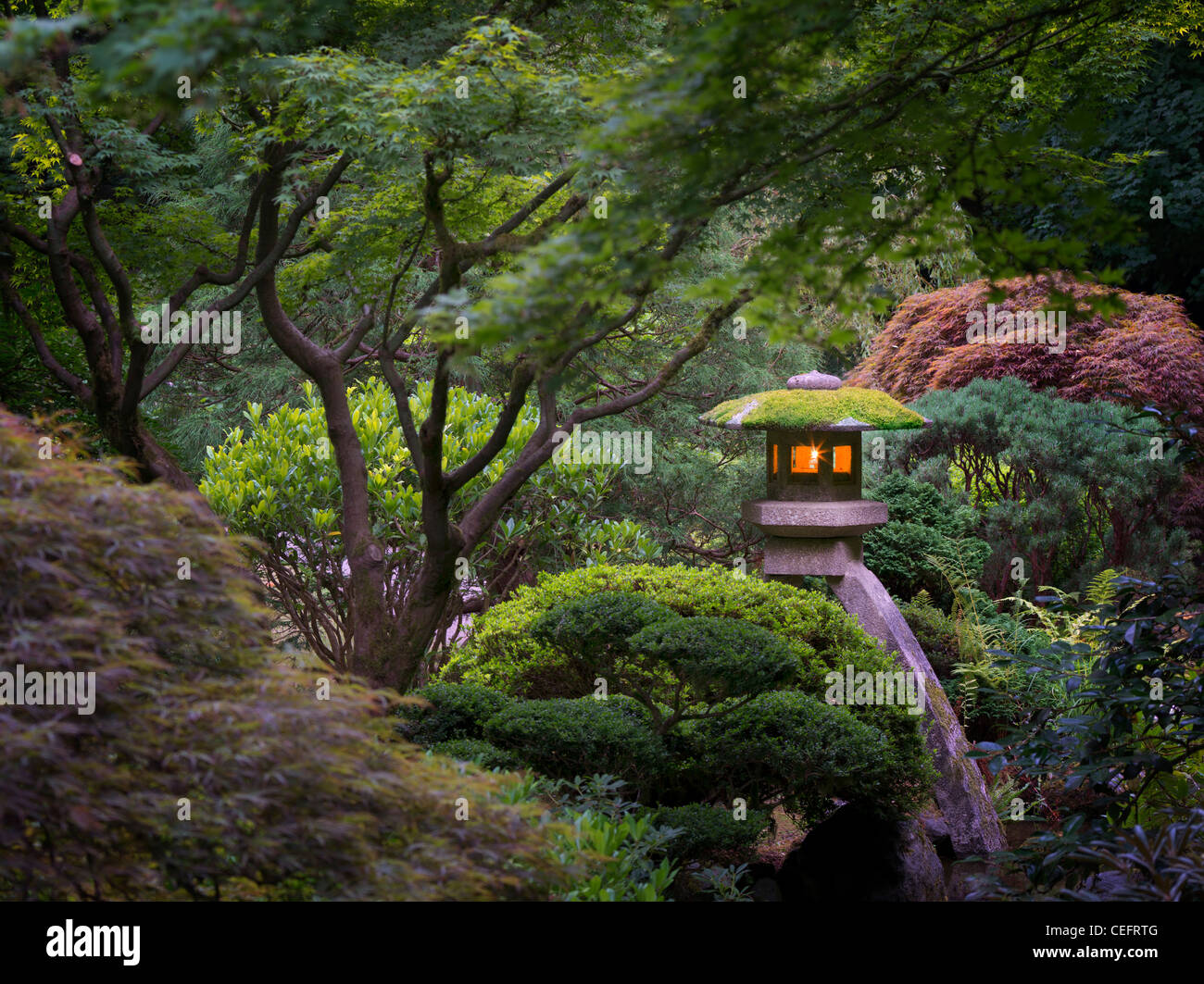 Lanternes allumées à Portland les jardins japonais. Oregon Banque D'Images