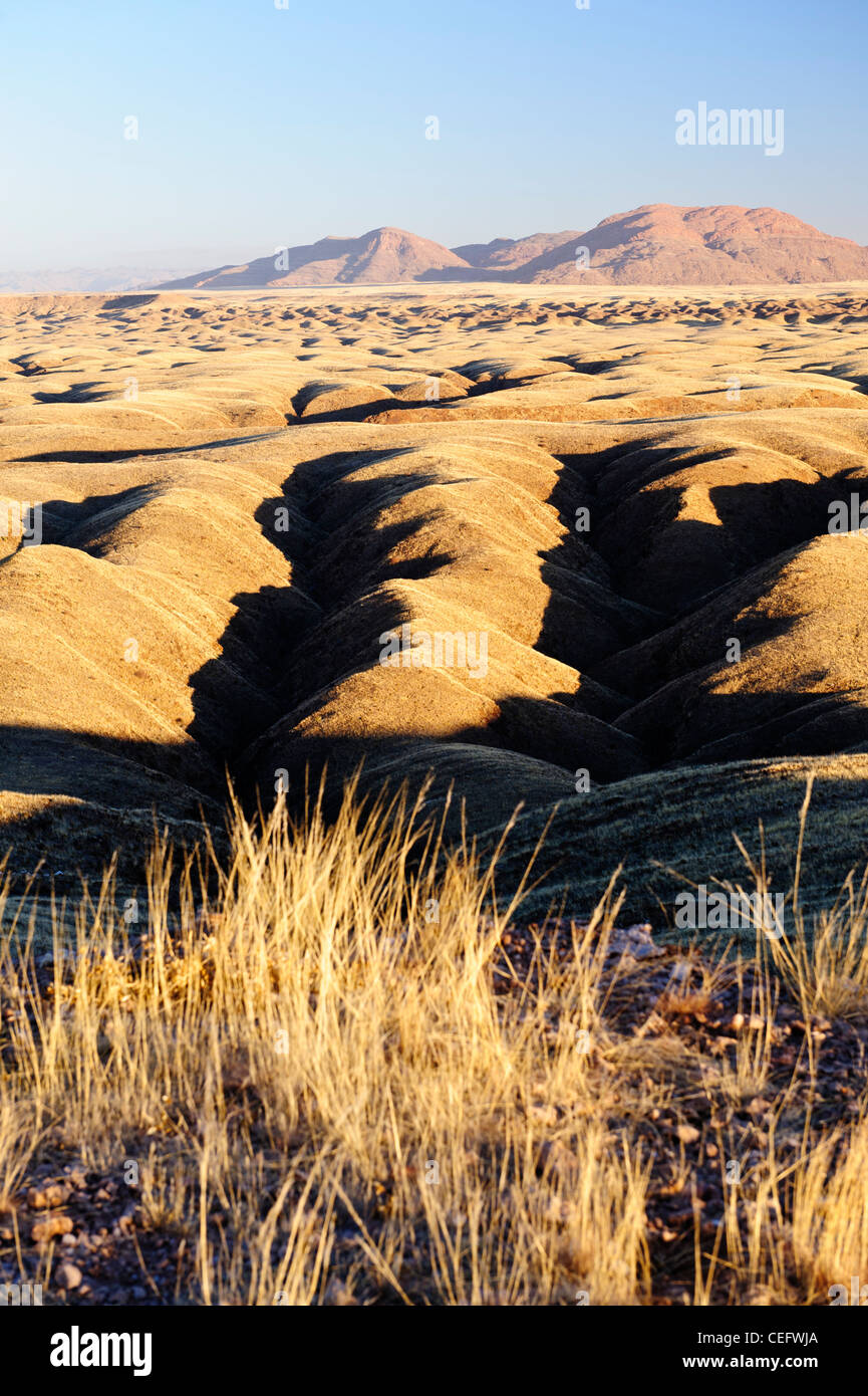 Kuiseb Canyon au Namib Naukluft Park, Namibie. Banque D'Images