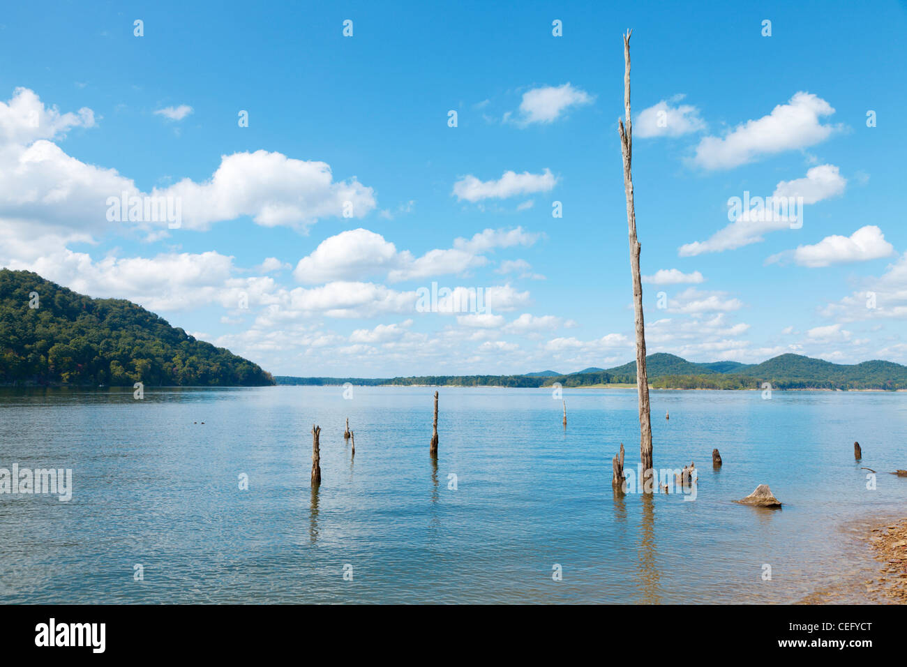 Cave Run Lake au Kentucky Banque D'Images