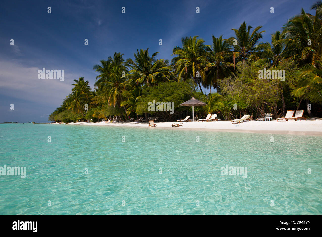 Plage de Kurumba Island, North Male Atoll, Maldives, océan Indien Banque D'Images