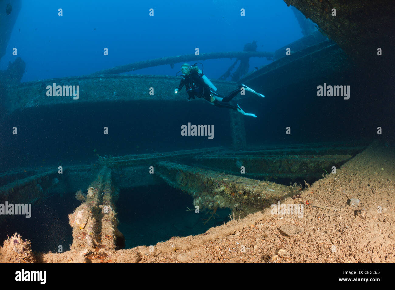 Au cours de Scuba Diver de l'espace de chargement Victory Wreck Maldives, North Male Atoll, Maldives, océan Indien Banque D'Images