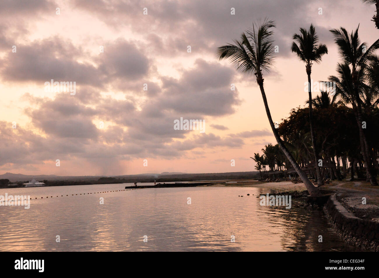 Crépuscule Rose ciel dans l'eau reflets sous-tropical palms en silhouette Banque D'Images