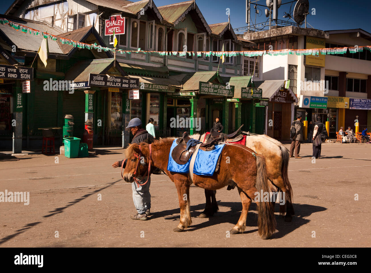 L'Inde, le Bengale occidental, Darjeeling, Chowrasta, poneys sillonnent pour le commerce en place ouverte au-dessus du Mall Banque D'Images