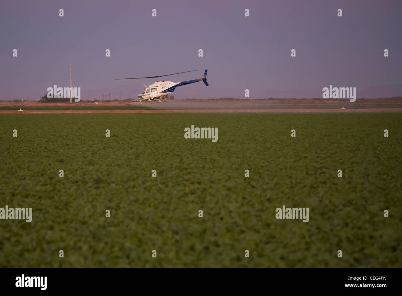 Holtville, Californie - Un hélicoptère pulvérise un champ dans la vallée Imperical. Banque D'Images
