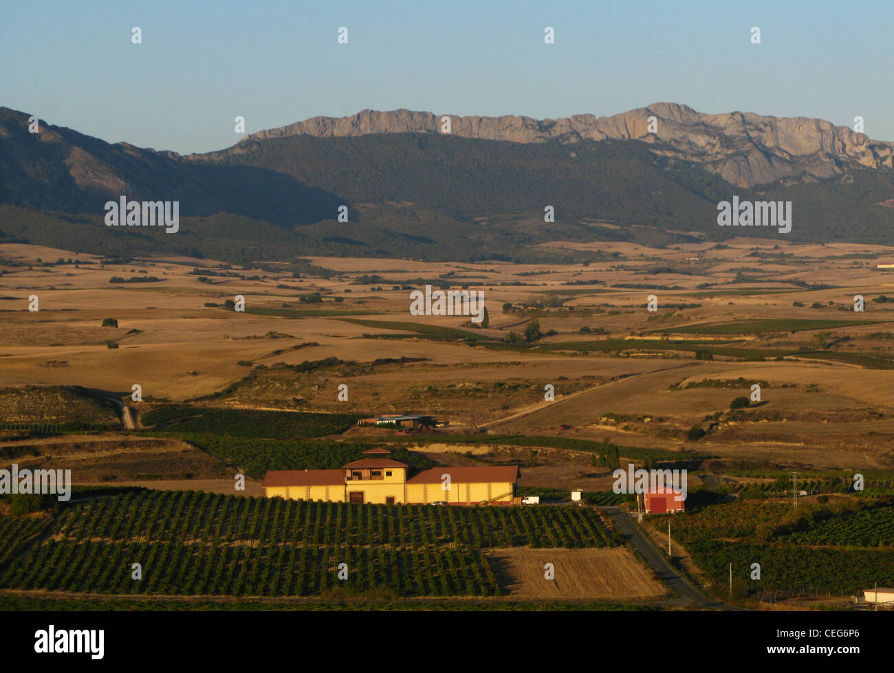L'Alava, Laguardia, Alava, Espagne, les champs et vignobles qui entourent l'aéroport Laguardia sont dominées par les montagnes Sierra Cantabria Banque D'Images