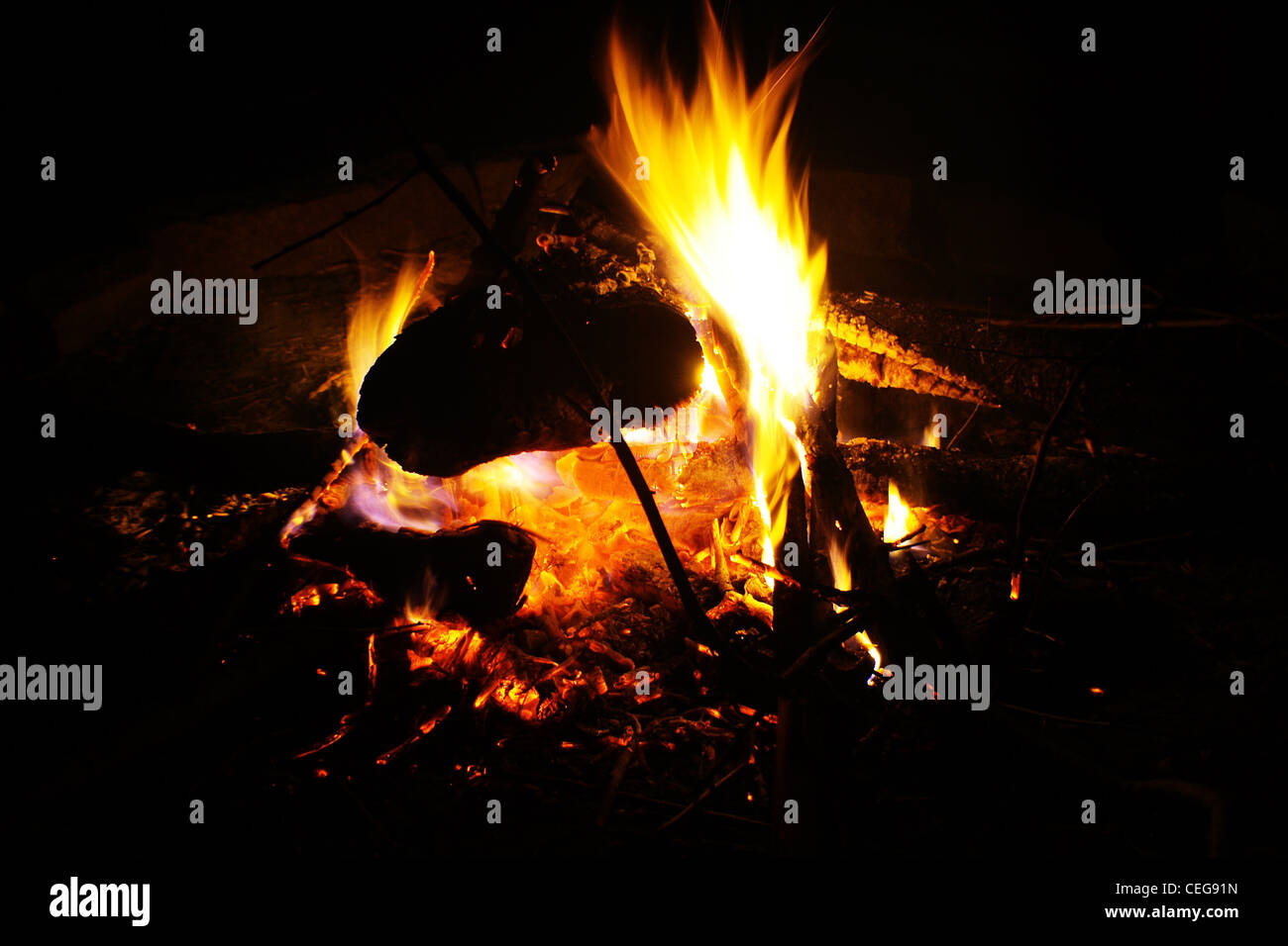 Feu de camp Banque D'Images