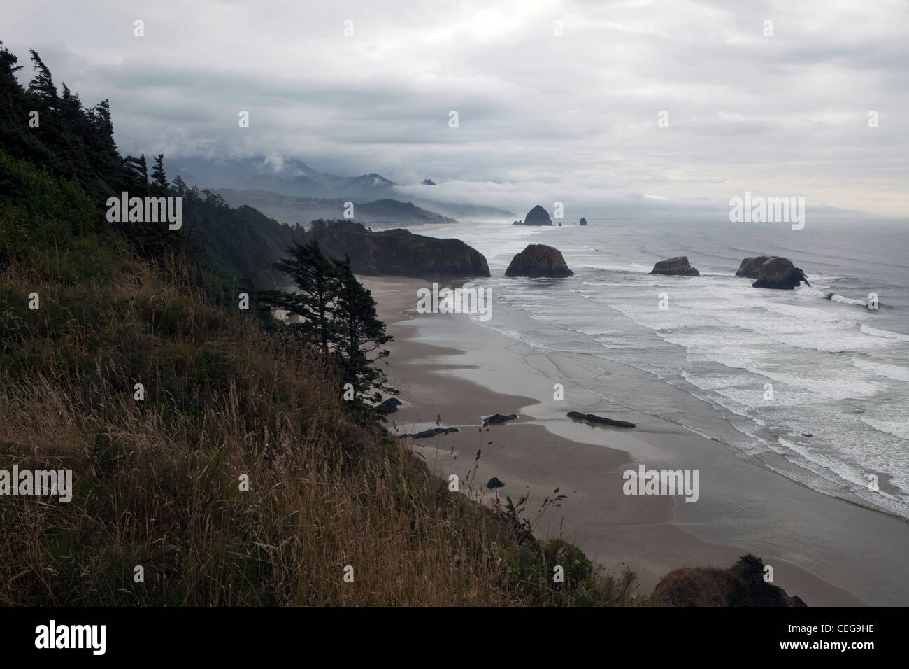 Une vue de la côte de l'Oregon à Cannon Beach, Oregon, USA. Banque D'Images