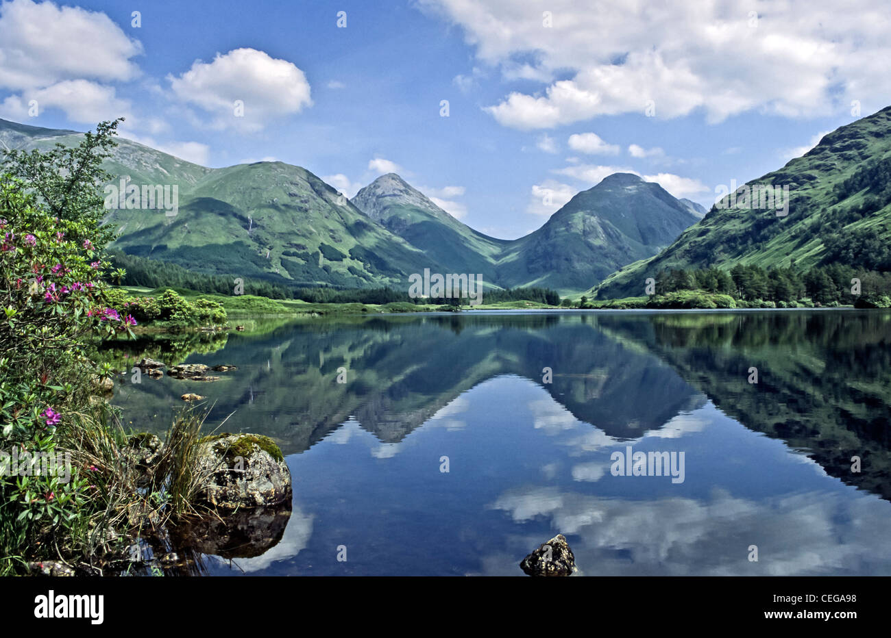 Au début de l'été vue sur collines de Glen Coe Glen Etive en Écosse avec les rhododendrons en fleurs au Lochan Urr Banque D'Images