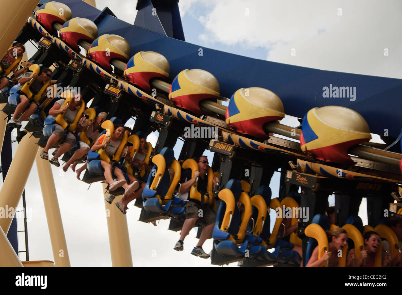 Busch Gardens Tampa Florida montu roller coaster Banque D'Images