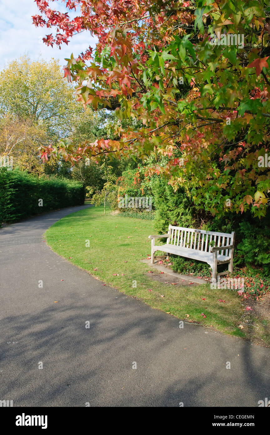 Banc de bois vide Chemin de jardin à la Cambridge University Botanic Garden  Photo Stock - Alamy