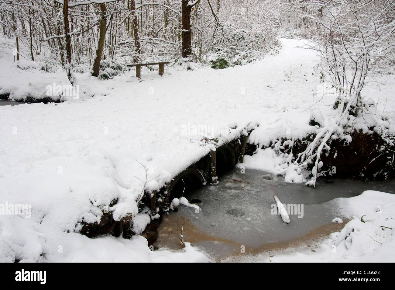 Passerelle couverte de neige sur rivière gelée dans The Blean woods Kent England uk Banque D'Images