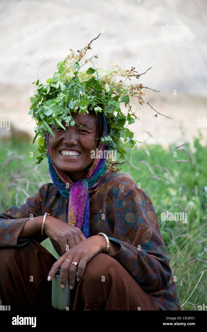 Le Spiti Valley, l'Himalaya, l'Himachal Pradesh, en Inde Banque D'Images