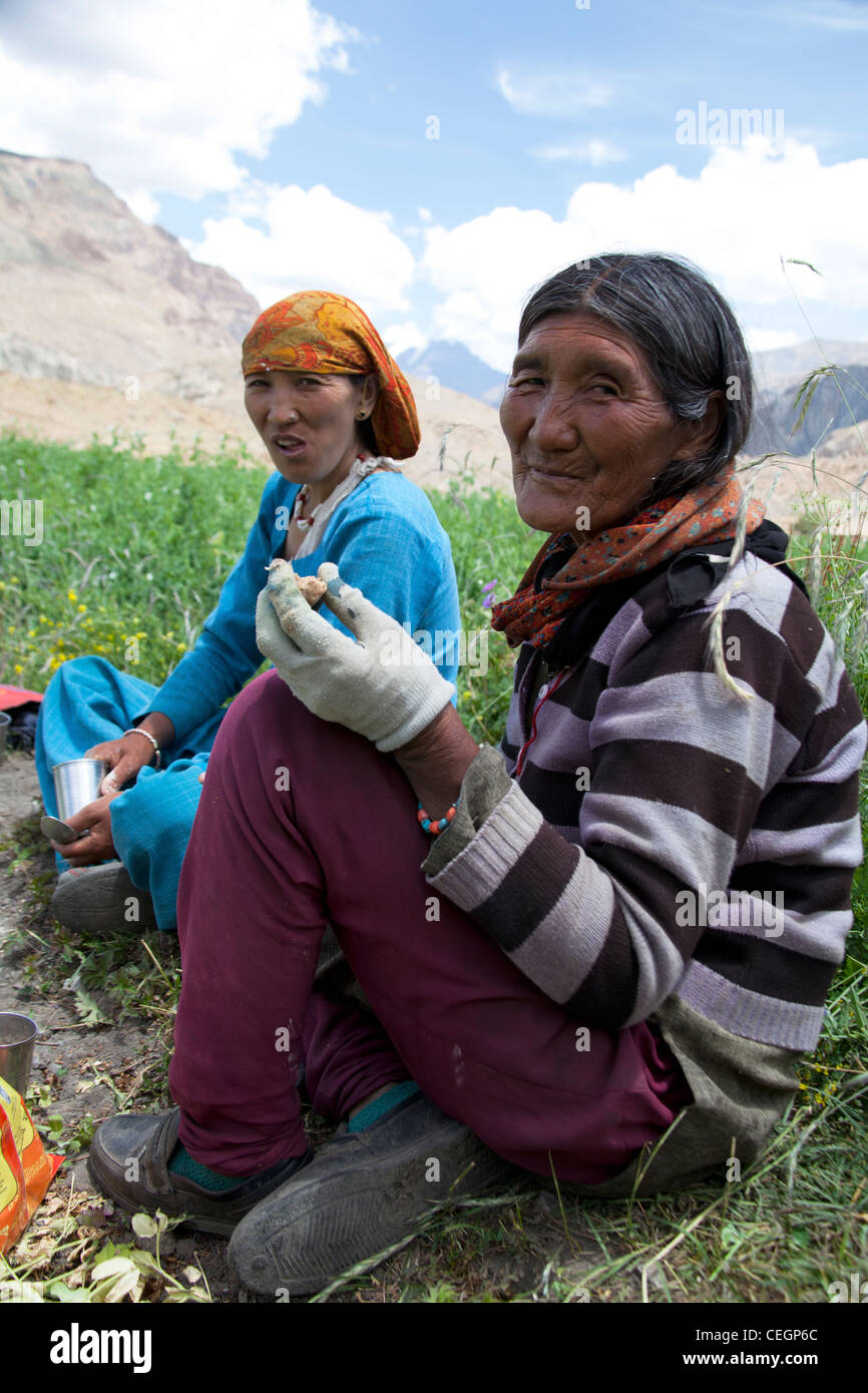 Le Spiti Valley, l'Himalaya, l'Himachal Pradesh, en Inde Banque D'Images