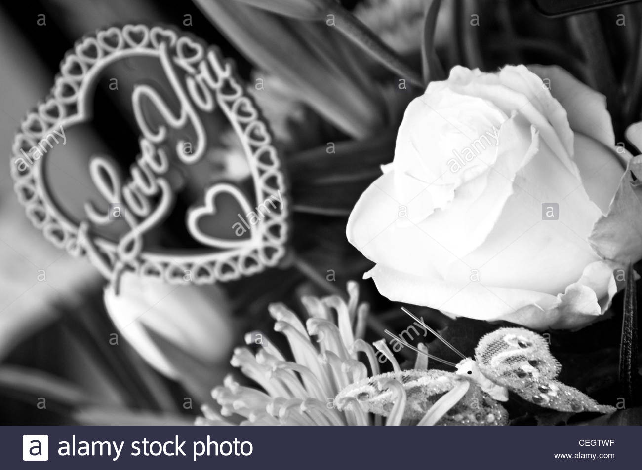 Rose Blanche Avec Un I Love You Coeur Pris Dans Le Cadre D Un Bouquet De Fleurs Saint Valentin Un Noir Et Blanc Ou Gris De L Image A L Echelle Photo Stock Alamy