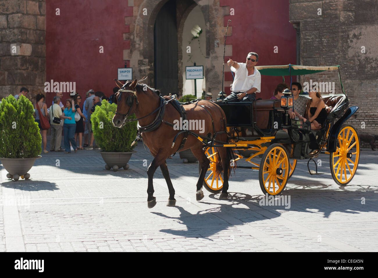 Transport de chevaux et aux touristes de faire un tour de la ville de Séville, Espagne. Banque D'Images