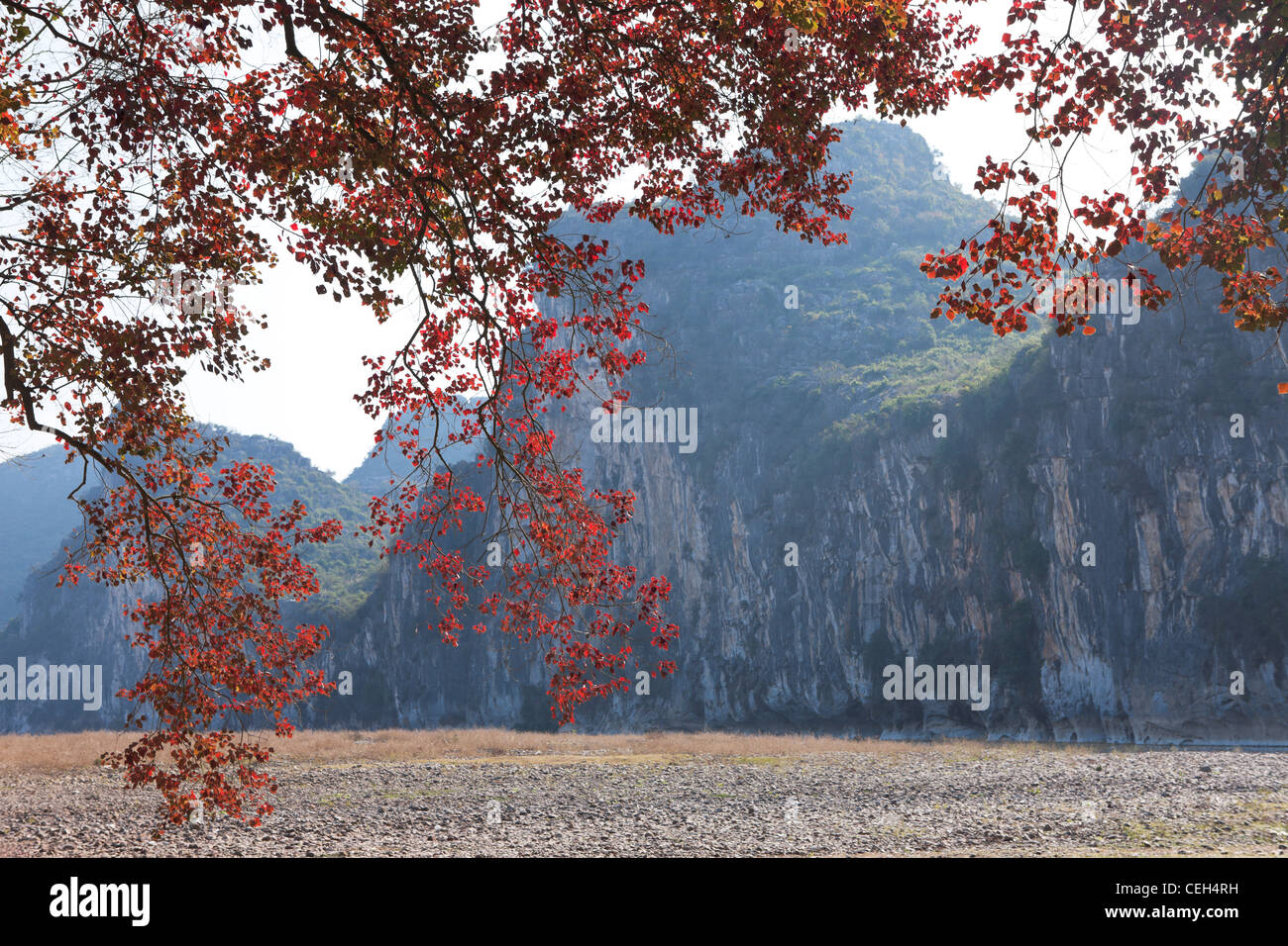 Chine Guilin Géographie physique de la région de Guangxi beauté dans la nature Les voyages la feuille d'érable scenics Banque D'Images