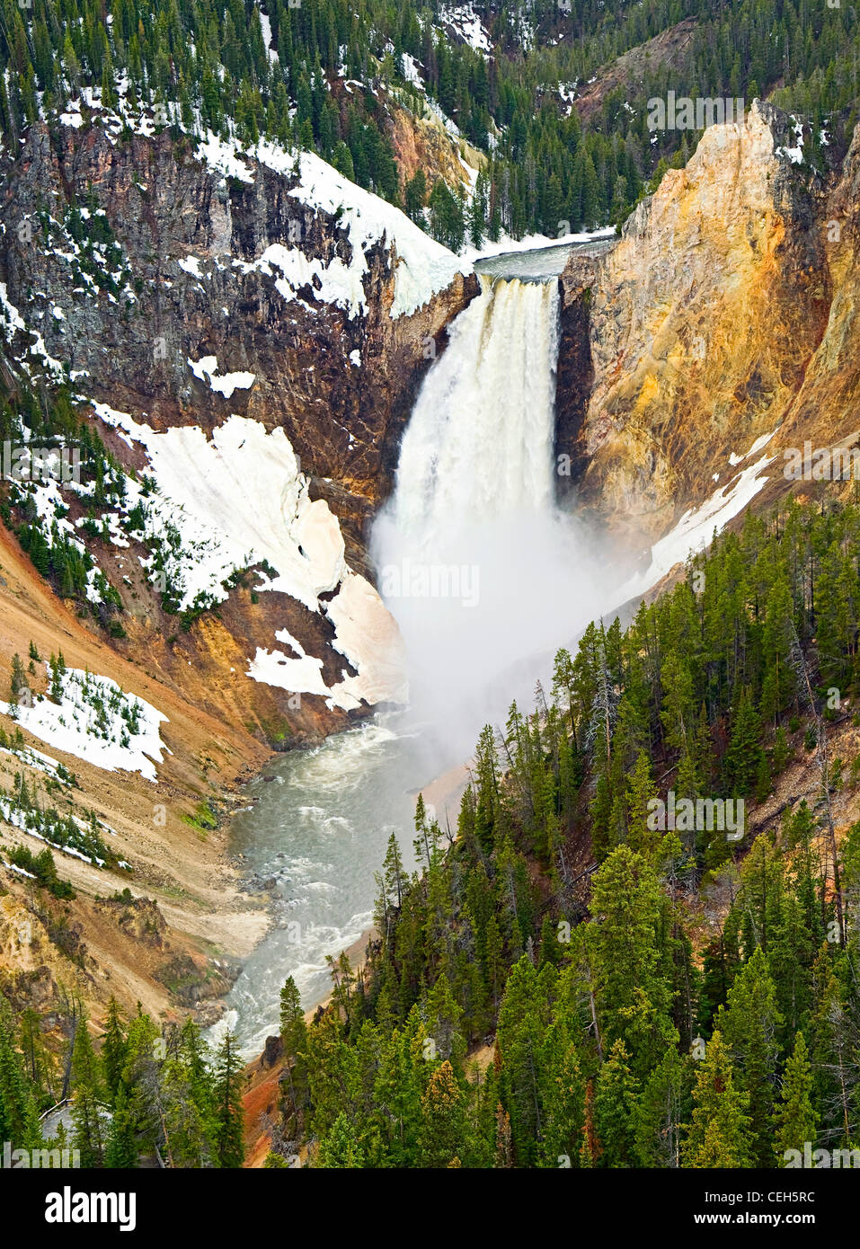 Chutes de Yellowstone au printemps. Banque D'Images