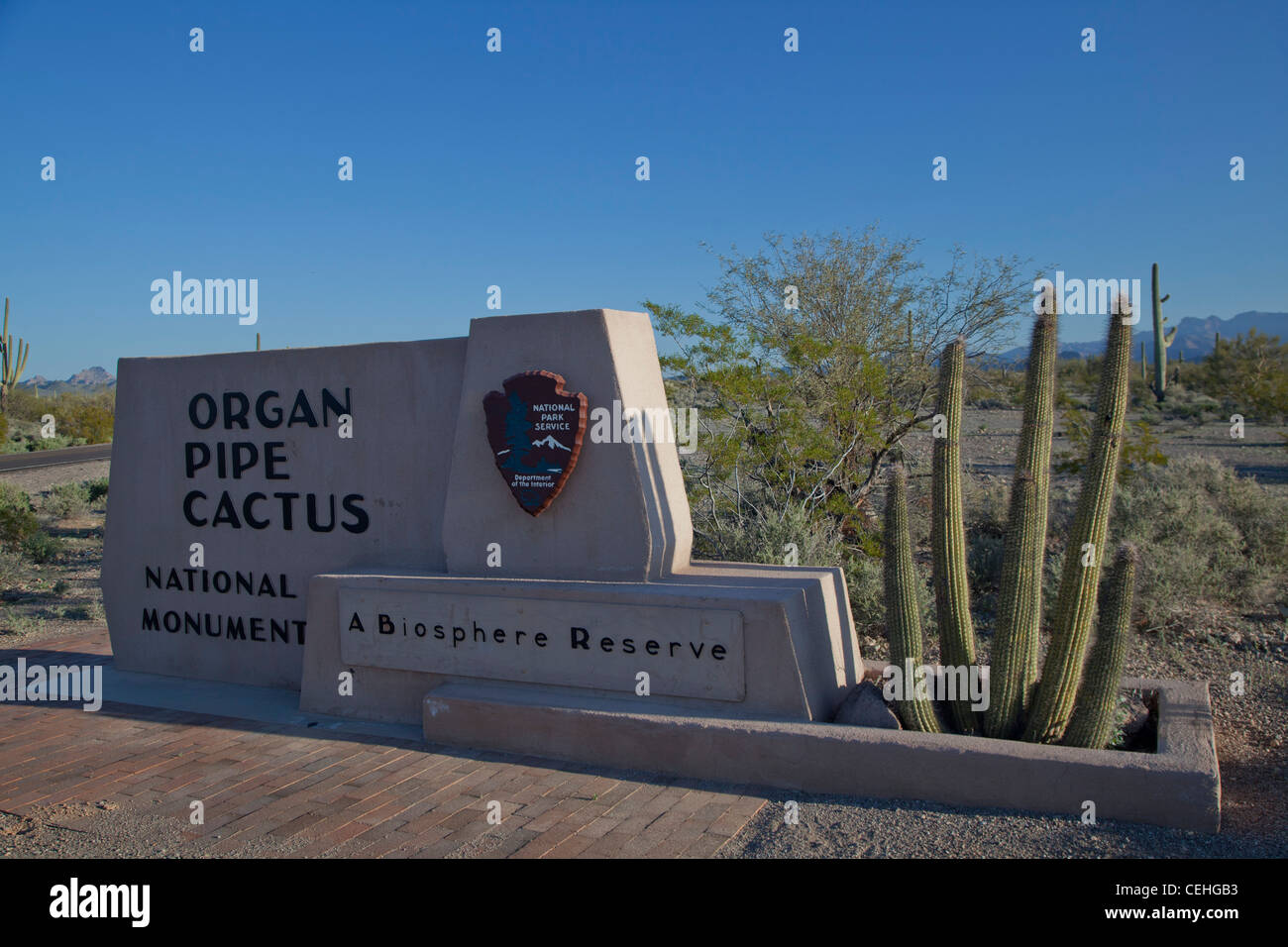Ajo, Arizona - Organ Pipe Cactus National Monument. Banque D'Images
