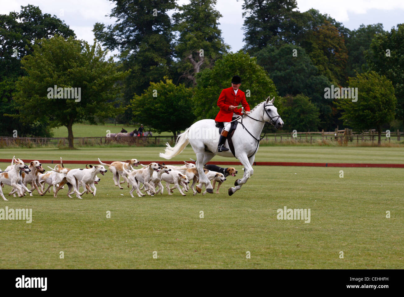 Une chasse en Oxfordshire 2011 Banque D'Images