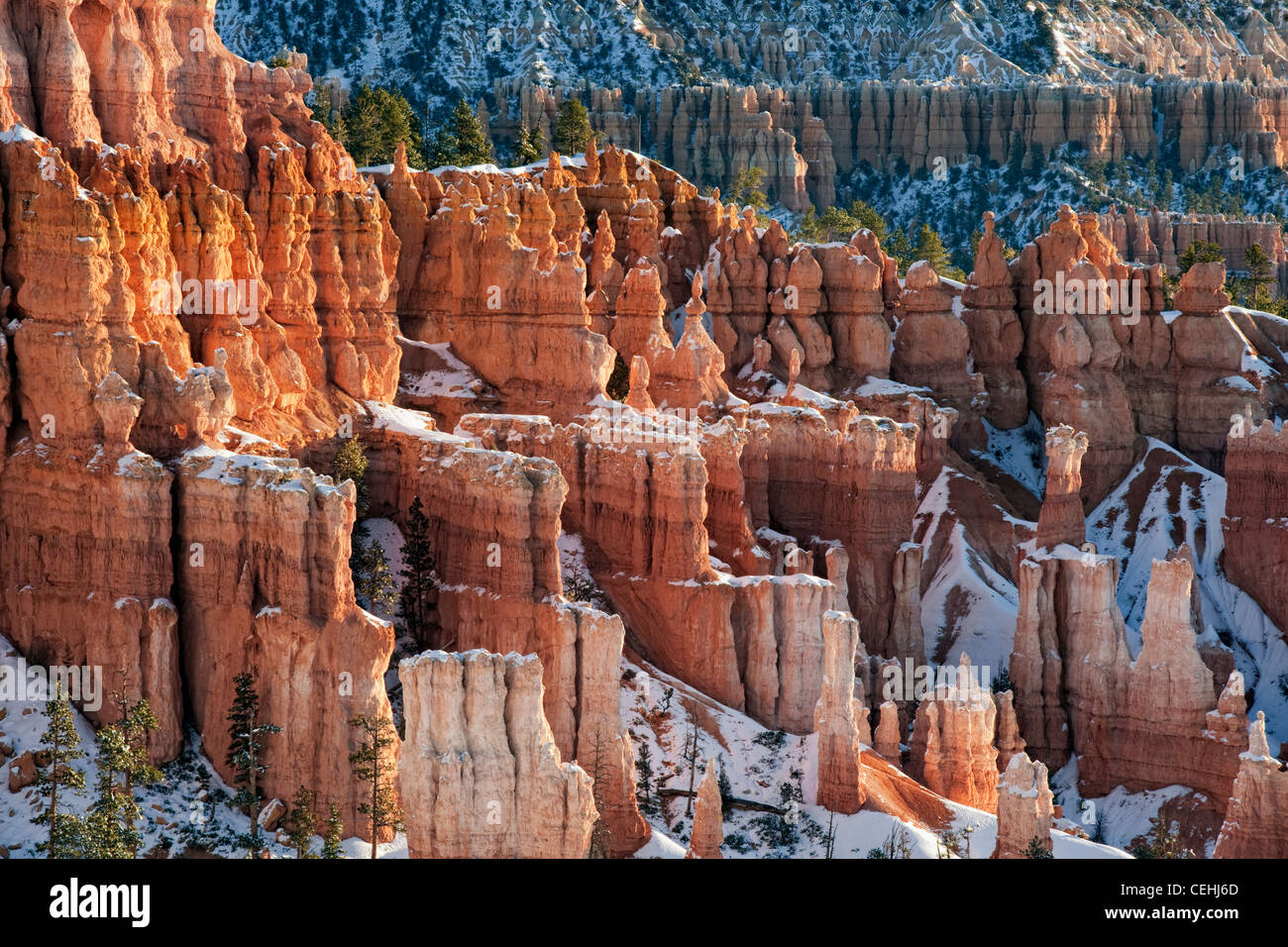 Première réflexion allume les nombreuses cheminées avec neige d'automne de Sunset Point dans l'Utah, le Parc National de Bryce Canyon. Banque D'Images