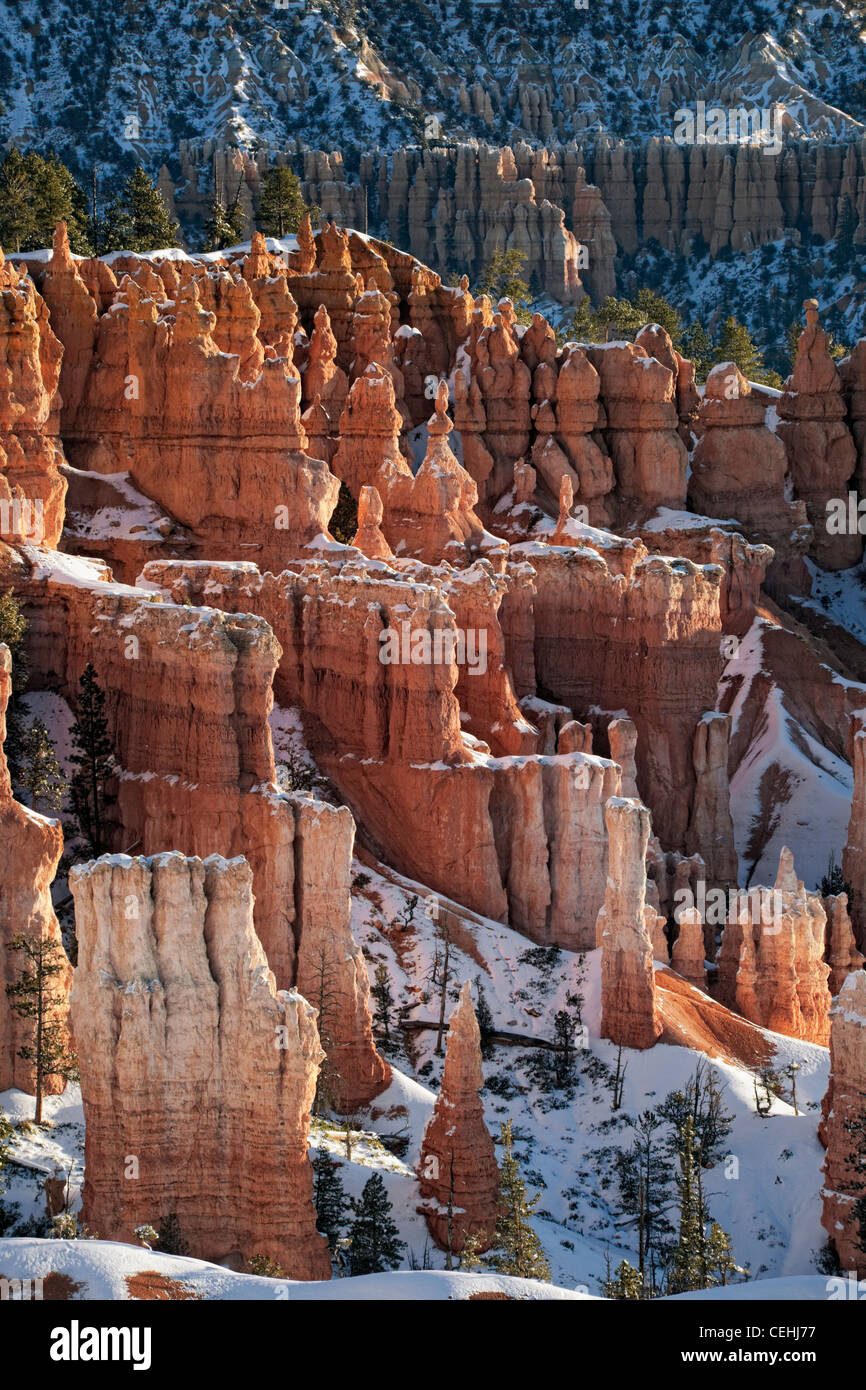 Première réflexion allume les nombreuses cheminées avec neige d'automne de Sunset Point dans l'Utah, le Parc National de Bryce Canyon. Banque D'Images