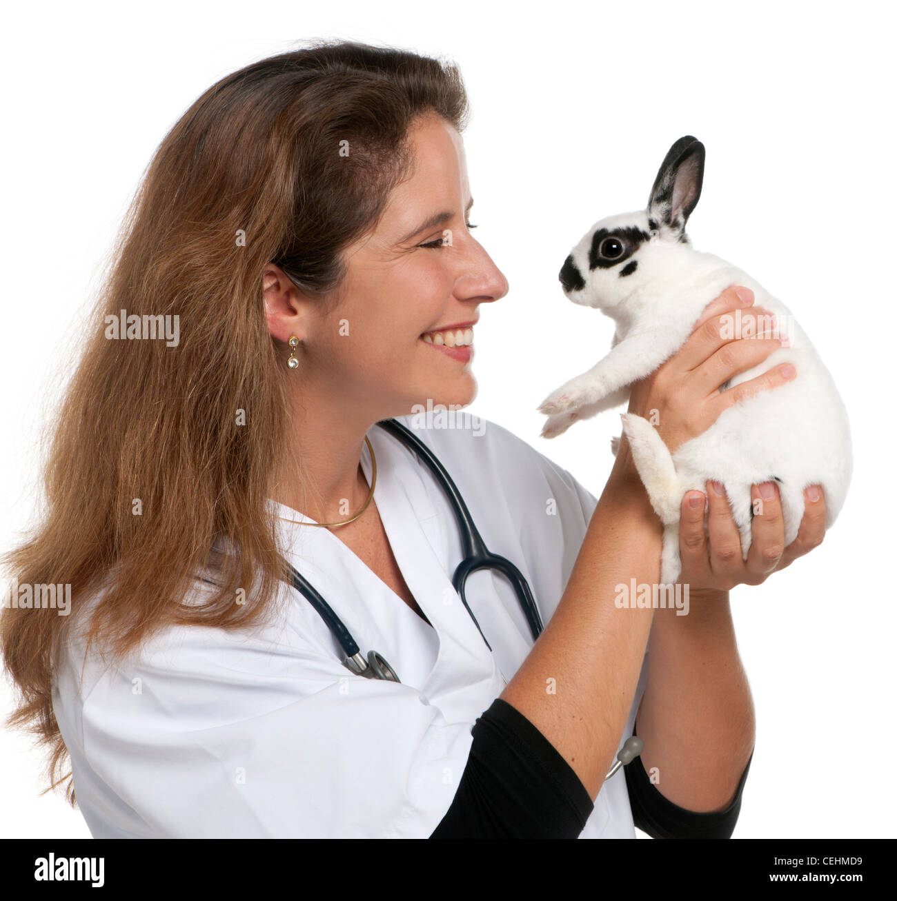 À la FEP à Dalmation rabbit in front of white background Banque D'Images