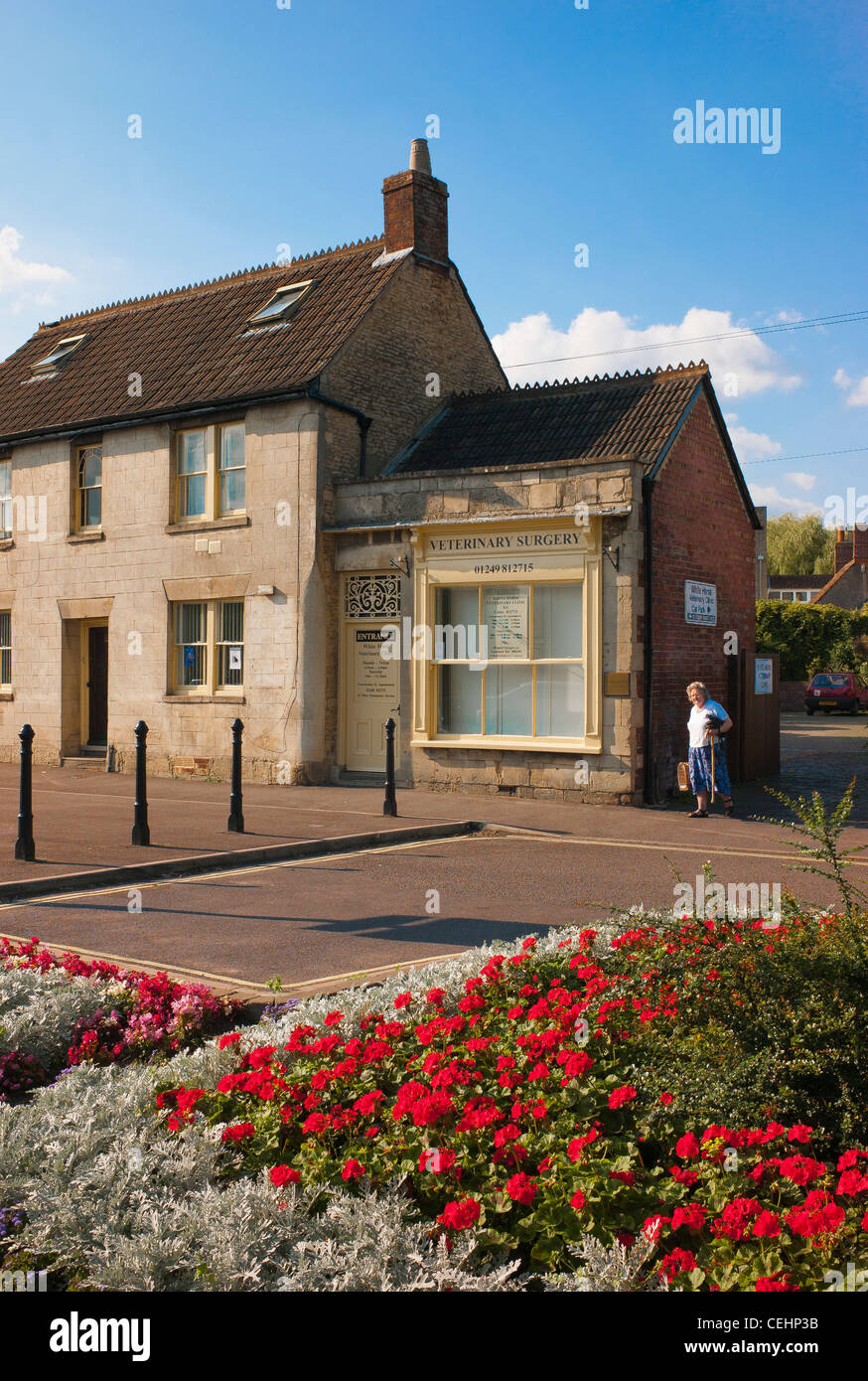 L'arrivée du client avec l'animal en petit panier à la chirurgie vétérinaire en UK Banque D'Images