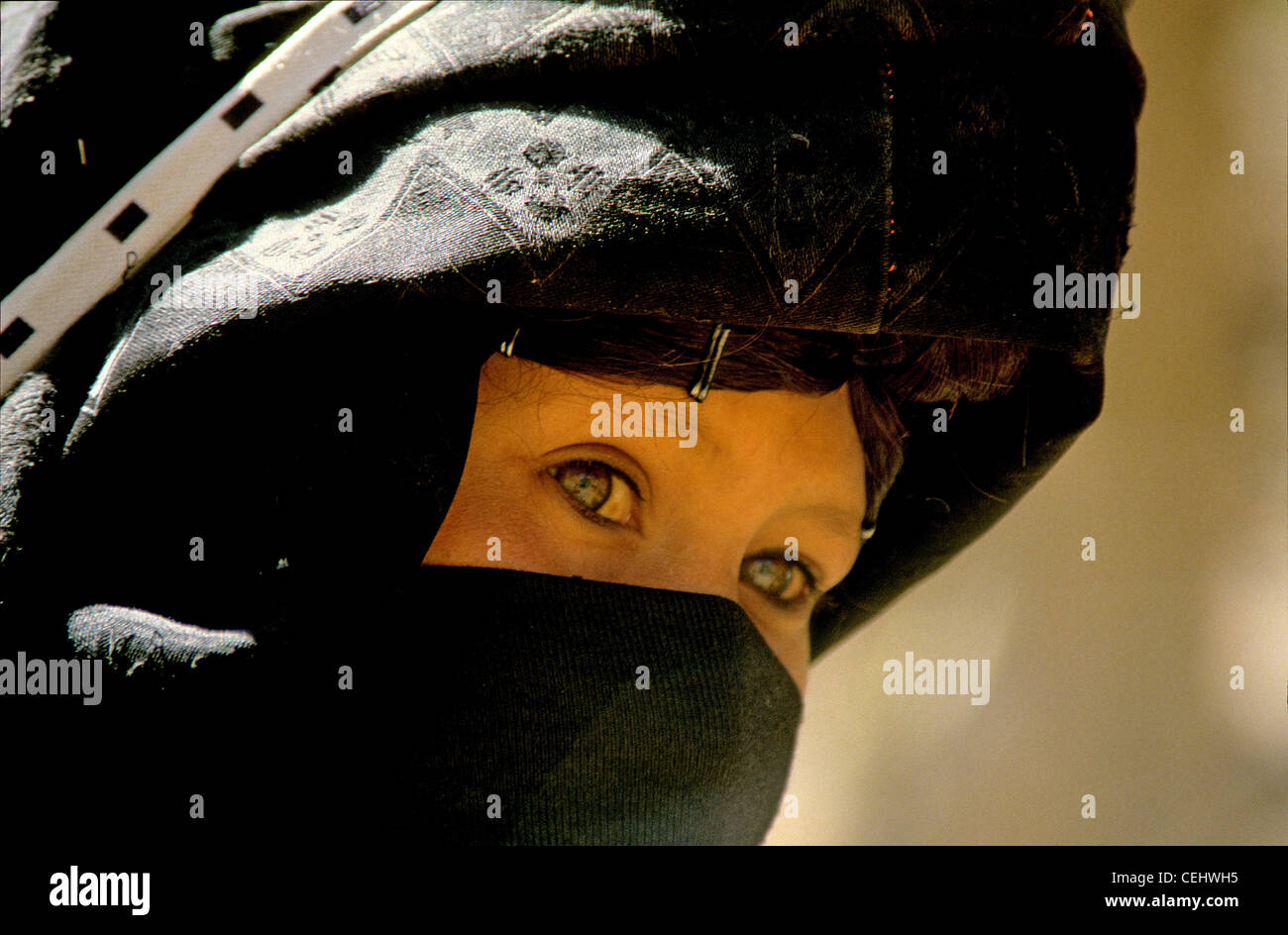 Dans l'arabe moyen orient désert. Banque D'Images