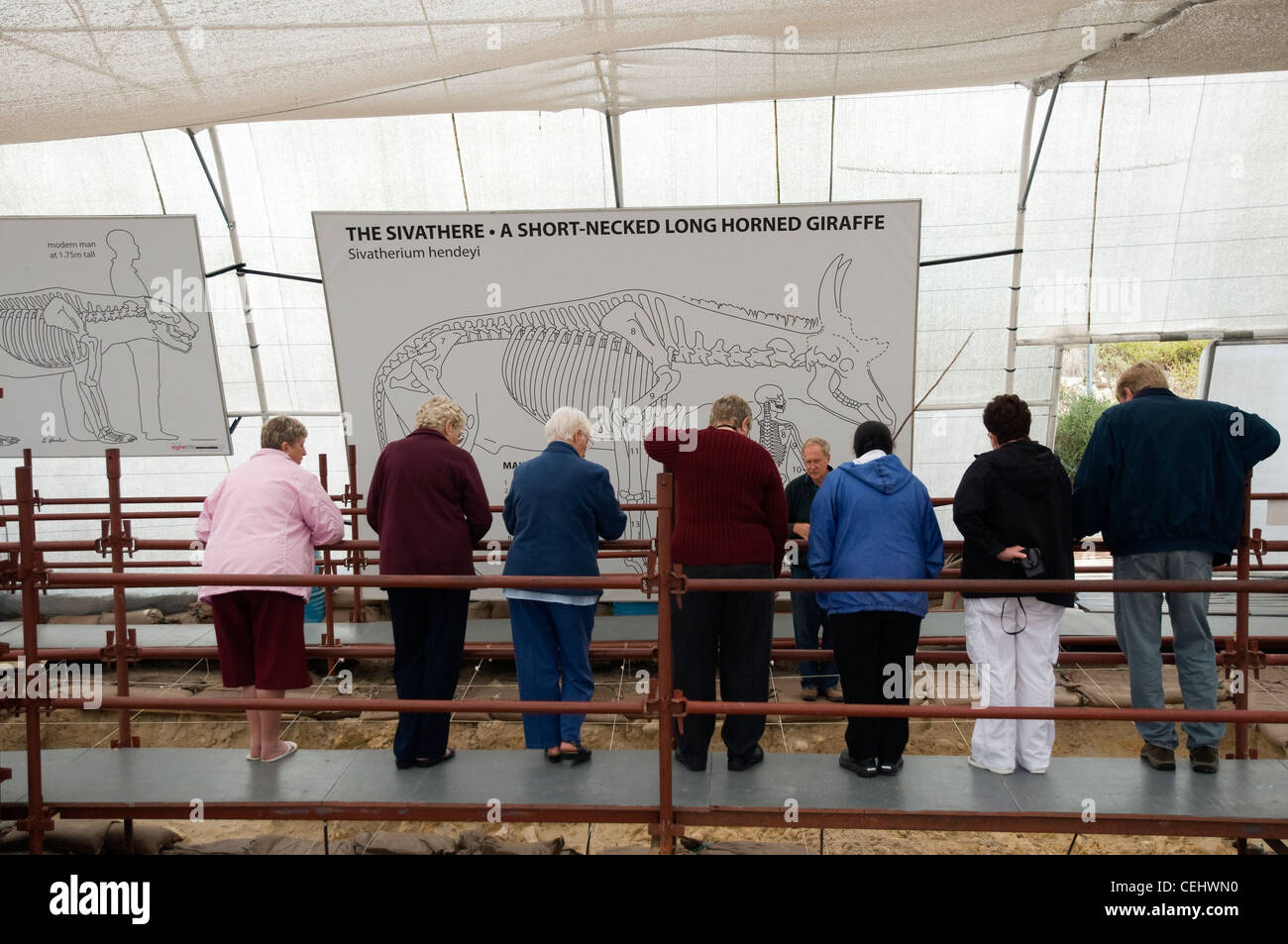 West Coast Fossil Park,Paternoster, Province de Western Cape Banque D'Images