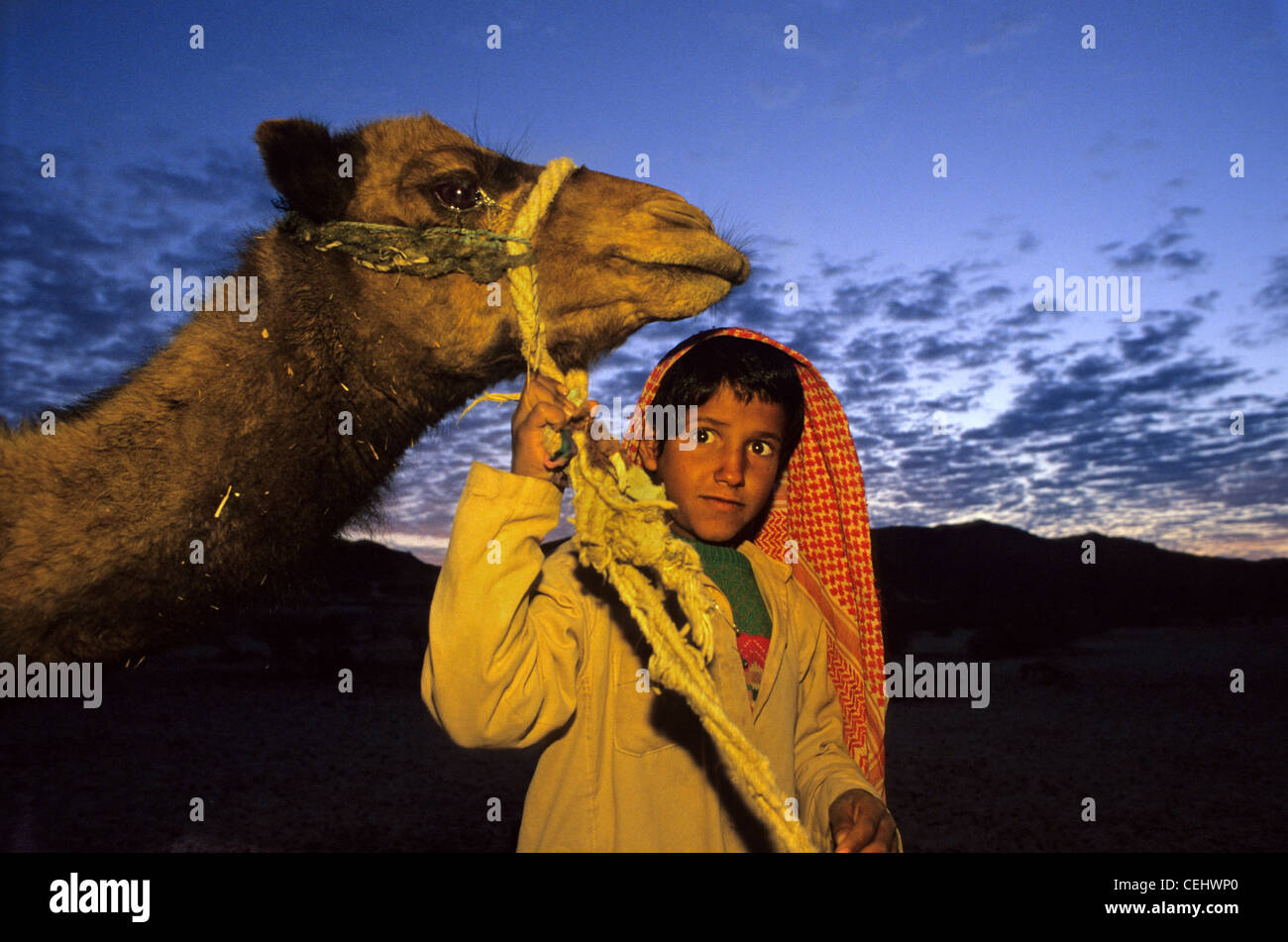 Garçon arabe avec un chameau dans le désert Banque D'Images