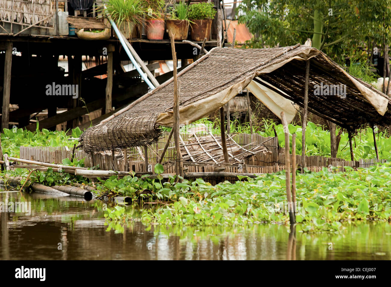 La structure du toit de paille sur le lac Tonle Sap au Cambodge, Kompong Khleang village. Banque D'Images