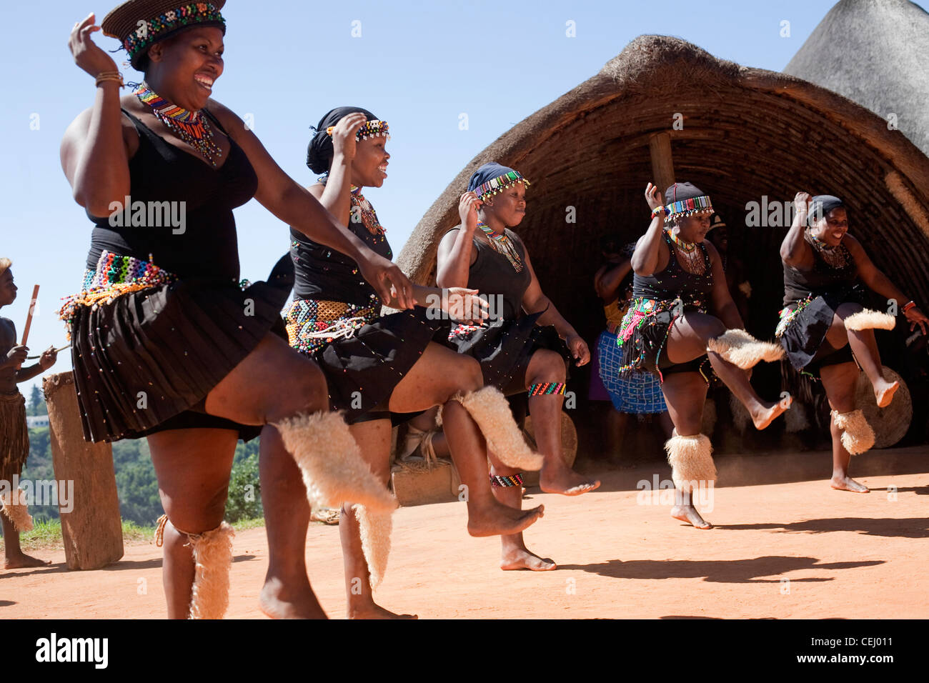 Phezulu Safari Park,Vallée des Mille Collines,Kwazulu-natal Banque D'Images