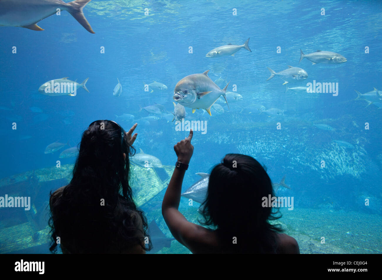 Ushaka Marine World et Florida Road,Durban KwaZulu-Natal. Banque D'Images