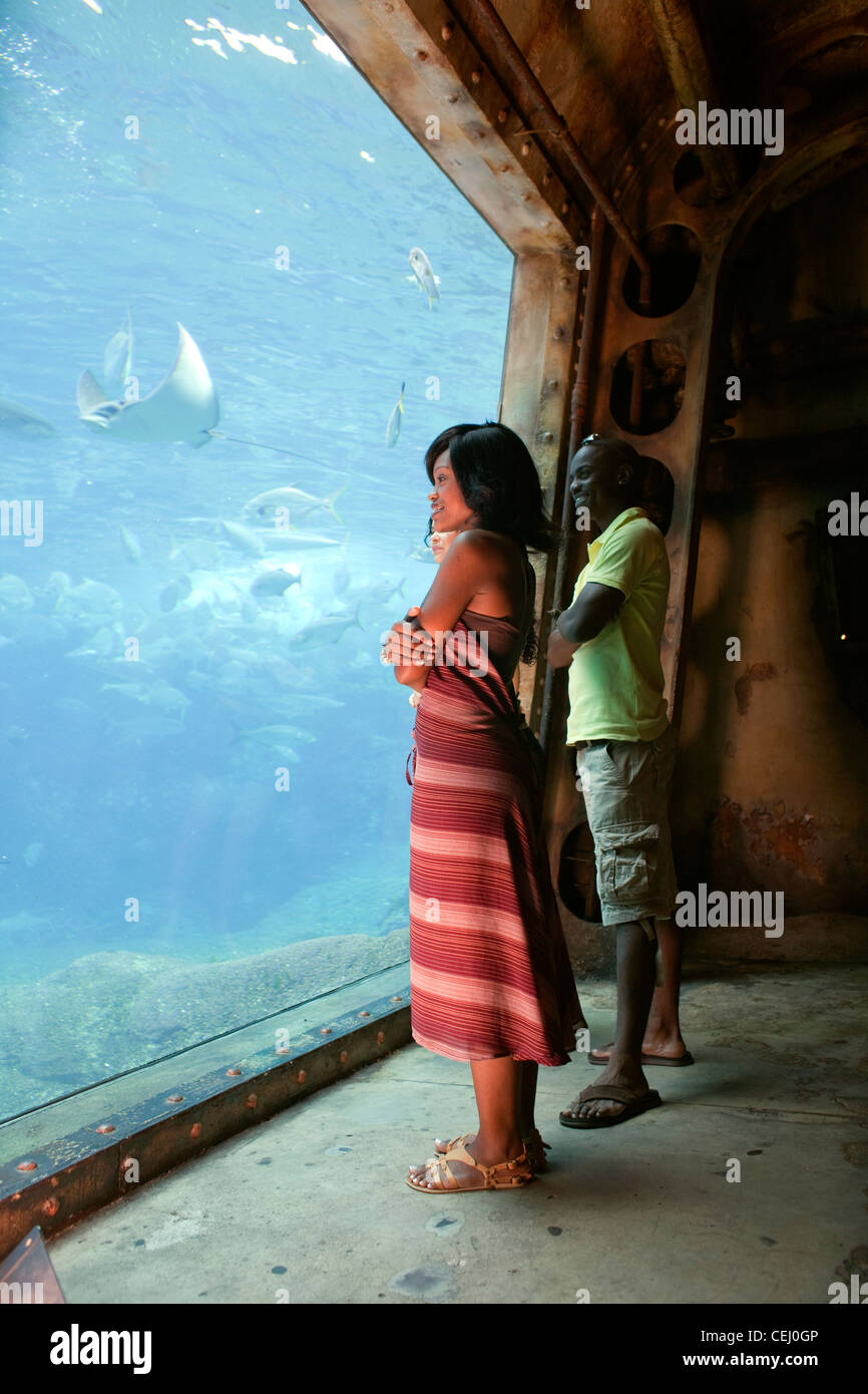 Ushaka Marine World et Florida Road,Durban KwaZulu-Natal. Banque D'Images