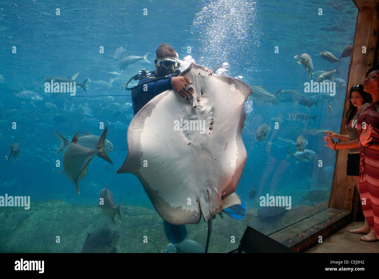 Ushaka Marine World et Florida Road,Durban KwaZulu-Natal. Banque D'Images