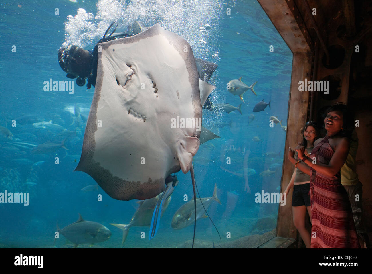 Ushaka Marine World et Florida Road,Durban KwaZulu-Natal. Banque D'Images