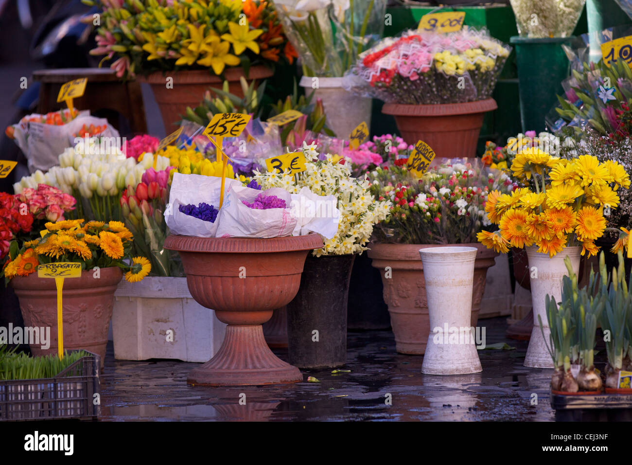 Des bacs de fleurs coupées en vente sur un étal à Campo de' Fiori Banque D'Images