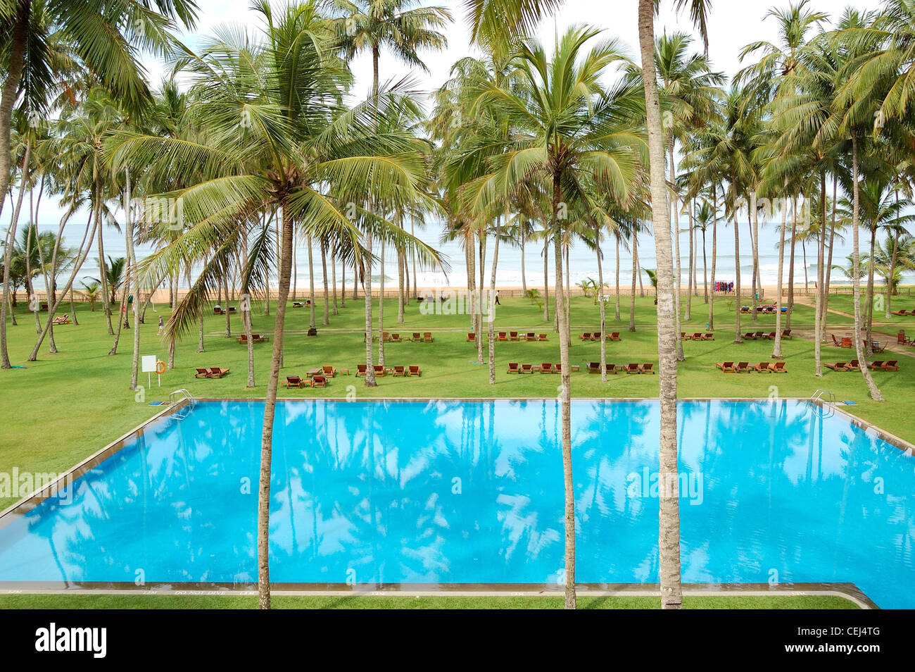 La piscine et plage de l'hôtel de luxe, Bentota, Sri Lanka Banque D'Images