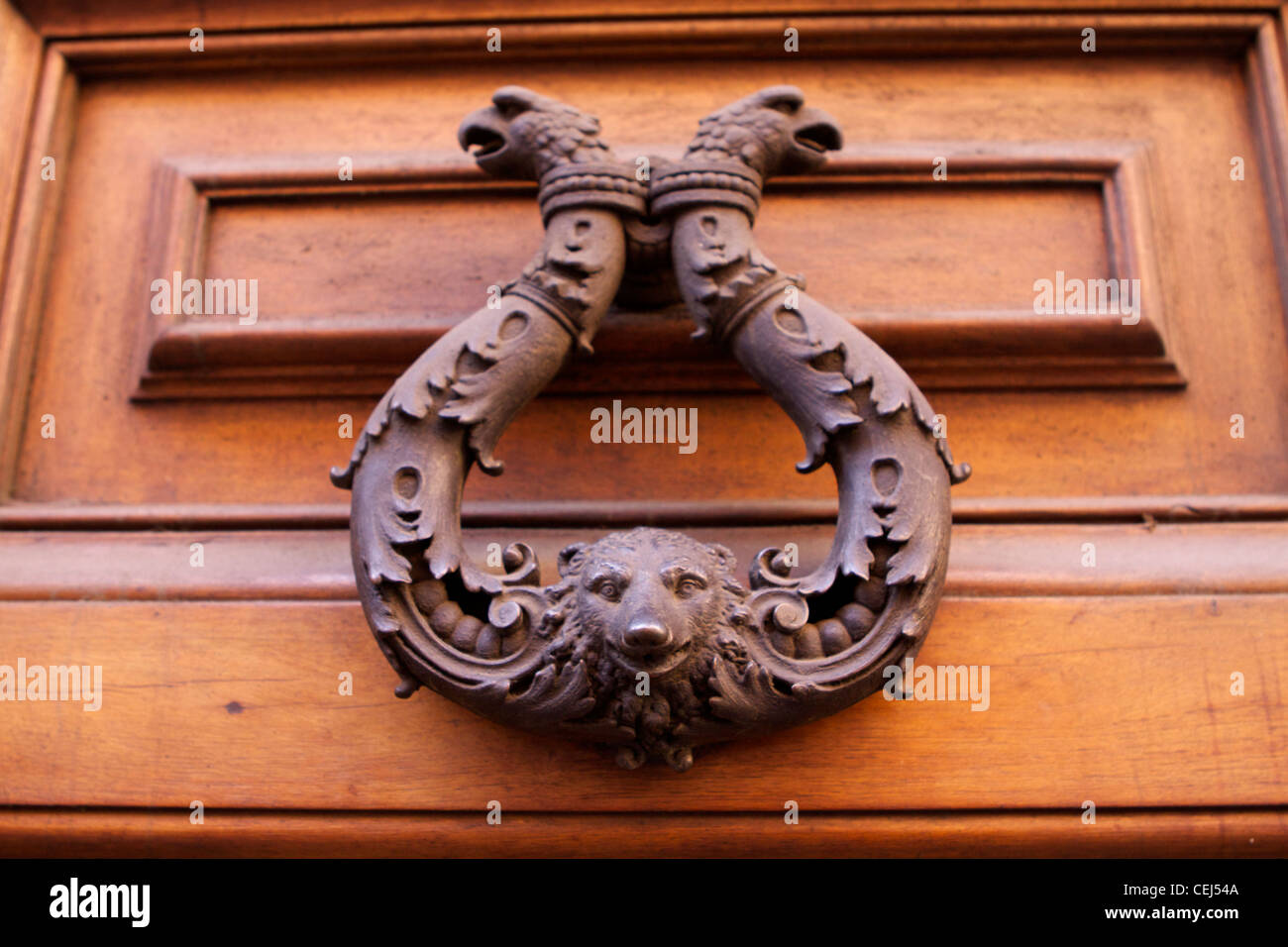 Ours orné heurtoir sur une porte en bois situé sur la Via Sistina Banque D'Images
