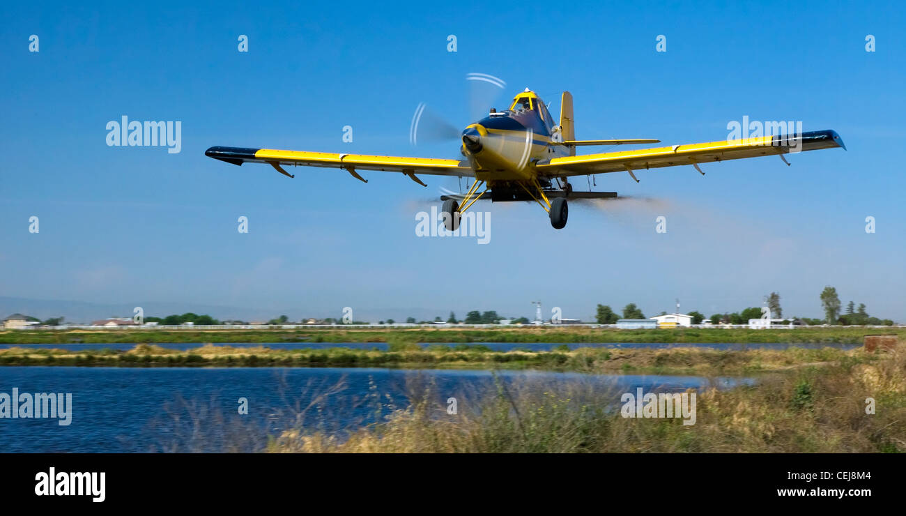 Agriculture - semis aérien d'un champ de riz / près de las Heras, San Joaquin County, Californie, USA. Banque D'Images